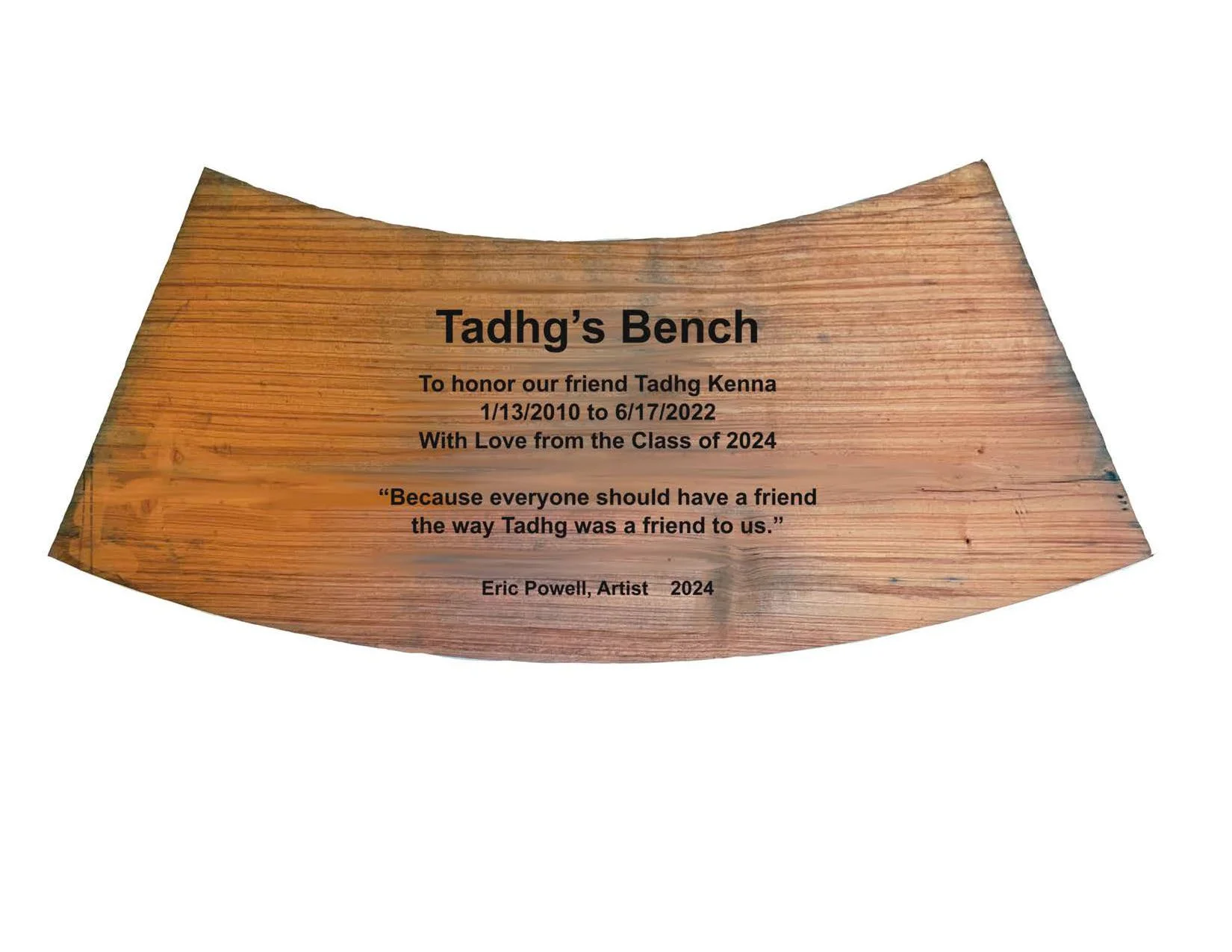 Tadhg Memorial Bench--Flyer_Page_01.jpg