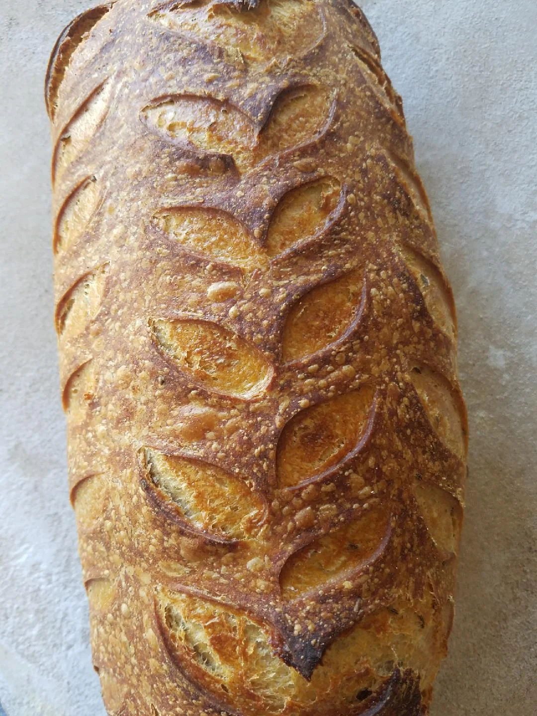 pretty long loaf.jpg