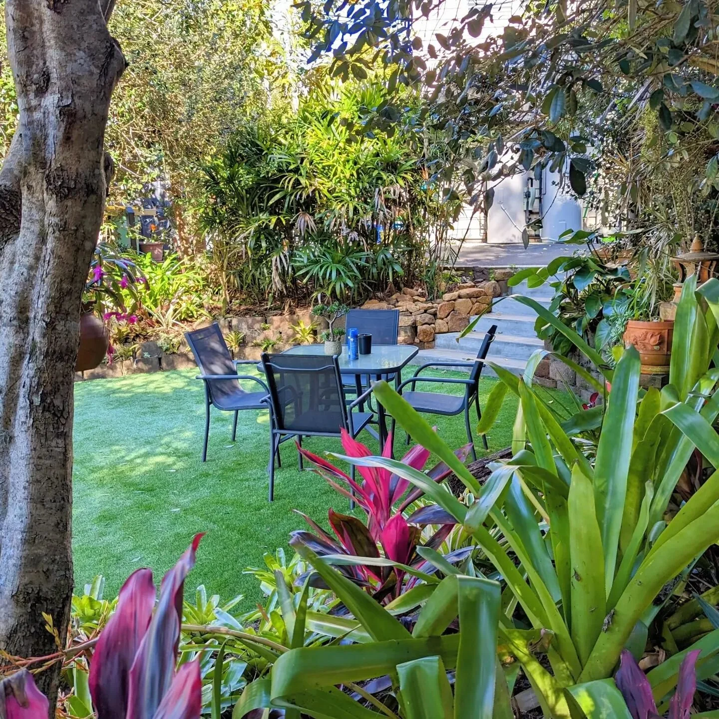 Winter Maleny sun