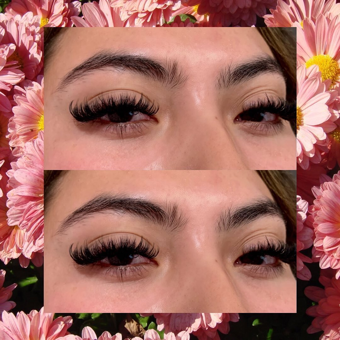I am absolutely IN LOVE with how this wispy mega volume turned out 🤤🤤 

.
 

.

. 

.

.

.

.

#lashes #lashartist #classiclashes #hybridlashes #volumelashes #lashextensions #denverlashes #denverlashartist #noco #nocolashes #sheloveshair #sheloves