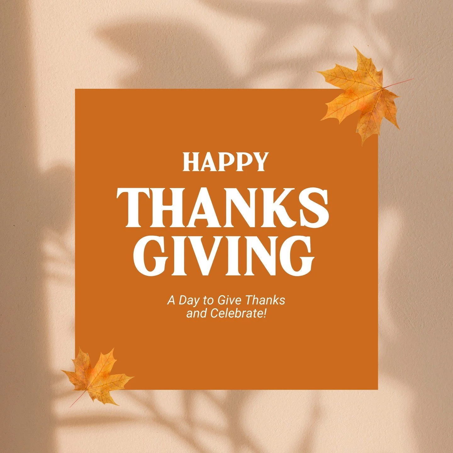 Happy Thanksgiving from She Loves Hair Salon!
As we reflect on this season of gratitude, we want to extend a heartfelt thank-you to every client who has trusted us with your hair, your confidence, and your self-care journey. Your loyalty, your love, 