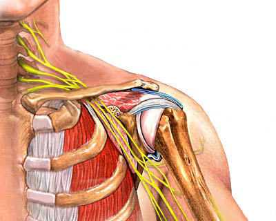 CTS_shoulder.jpg