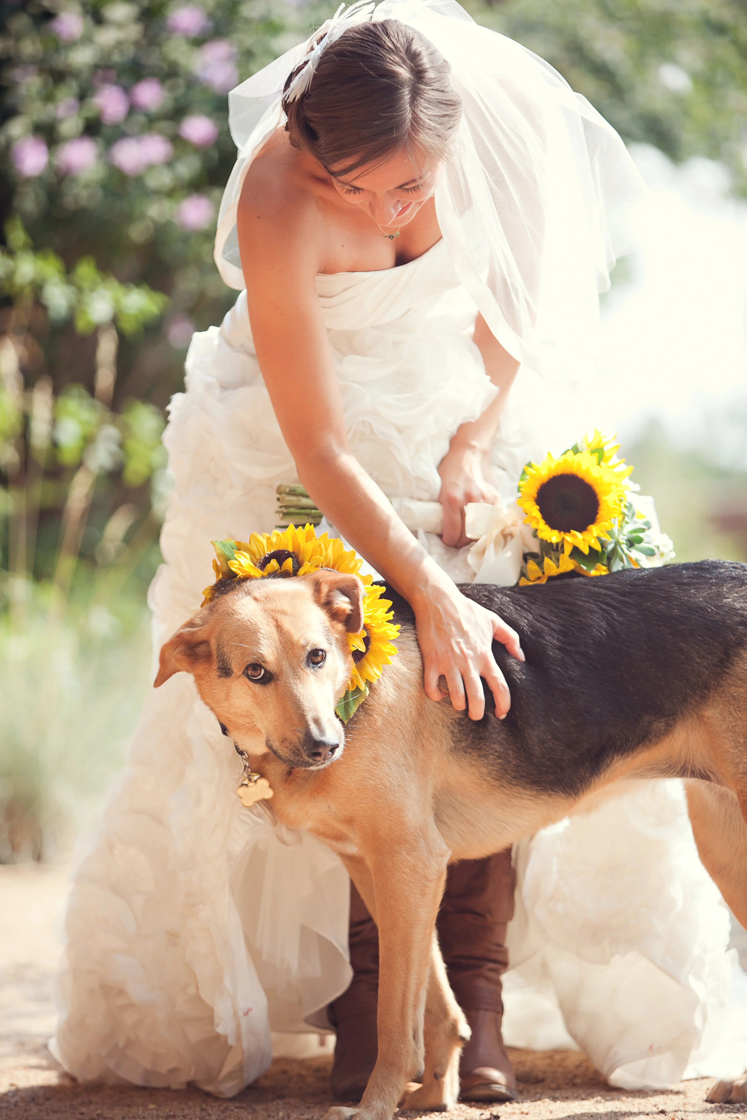 Vagge_Sharp_Chris_and_Adrienne_Scott_Photographers_JVaggeFaves0018.jpg