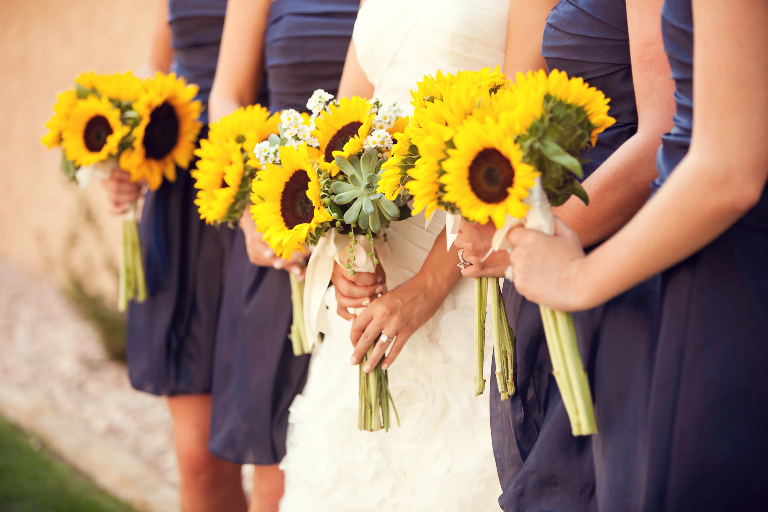 Vagge_Sharp_Chris_and_Adrienne_Scott_Photographers_JVaggeFaves0019.jpg
