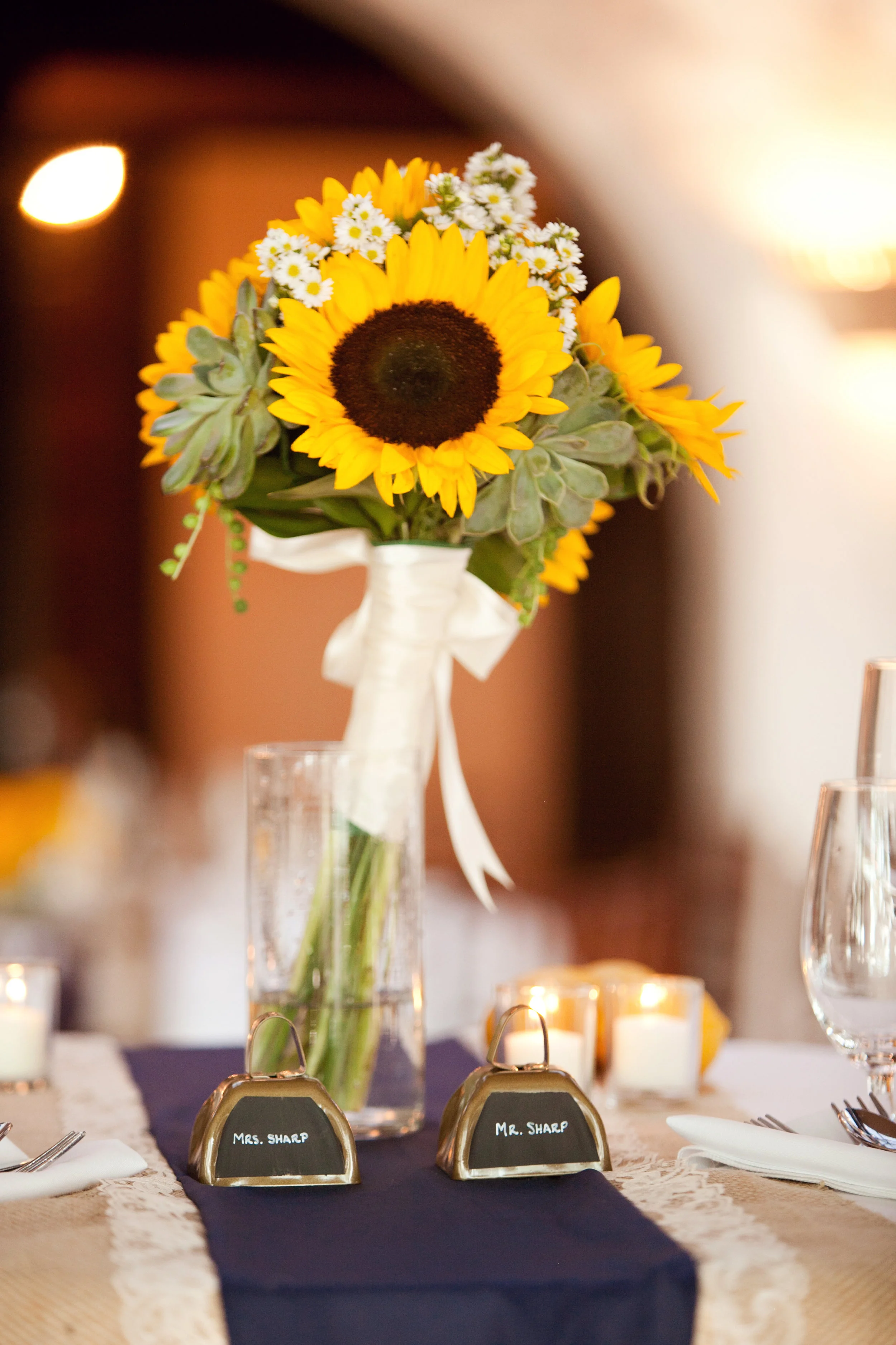 Vagge_Sharp_Chris_and_Adrienne_Scott_Photographers_JVaggeFaves0041.jpg
