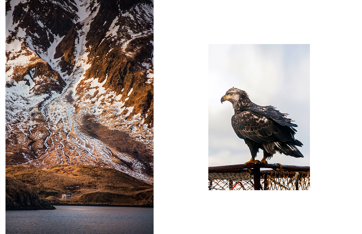 Photo Web Template 25.png