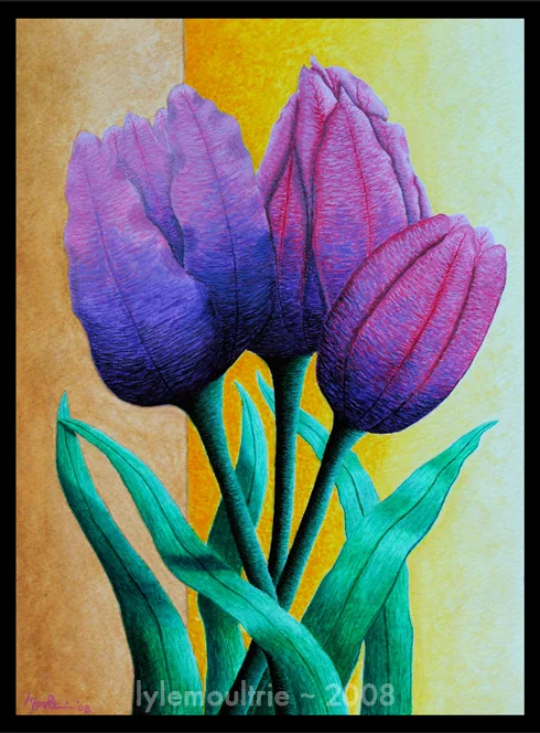 Tulips - 2008