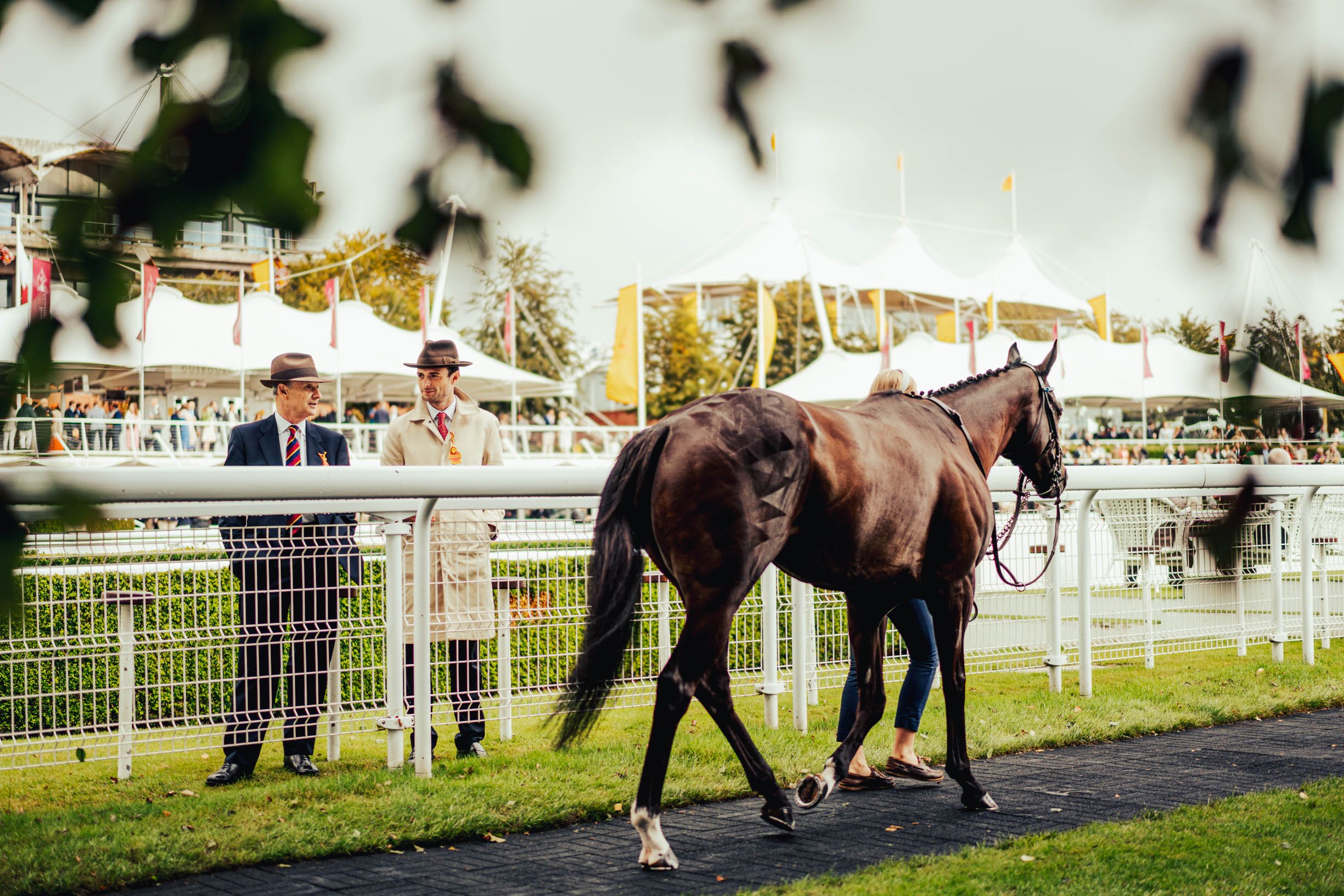  Two gentlemen observing a racehorse in the parade ring at the 2023 Qatar Goodwood races, taking place at the Goodwood Racecourse Chichester, West Sussex. 