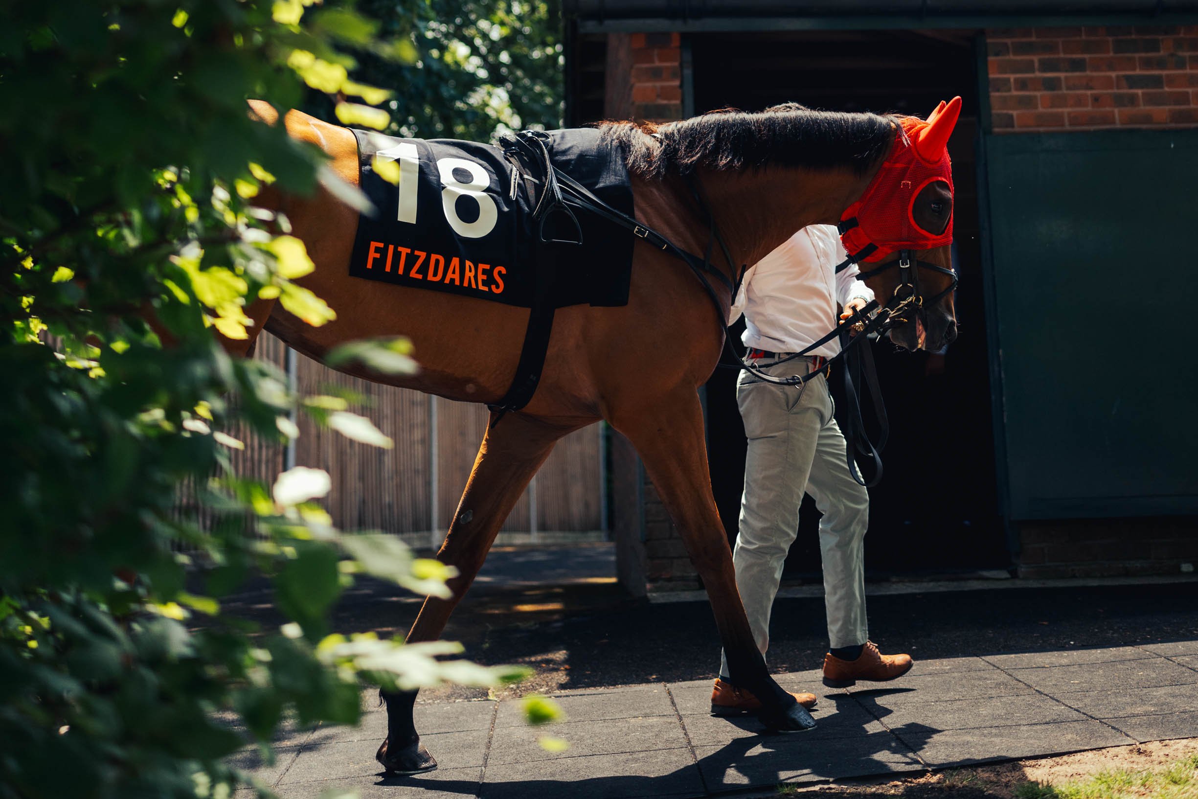  Racehorse exciting the stables at the 2026 May Festival races, taking place at the Goodwood Racecourse Chichester, West Sussex. 
