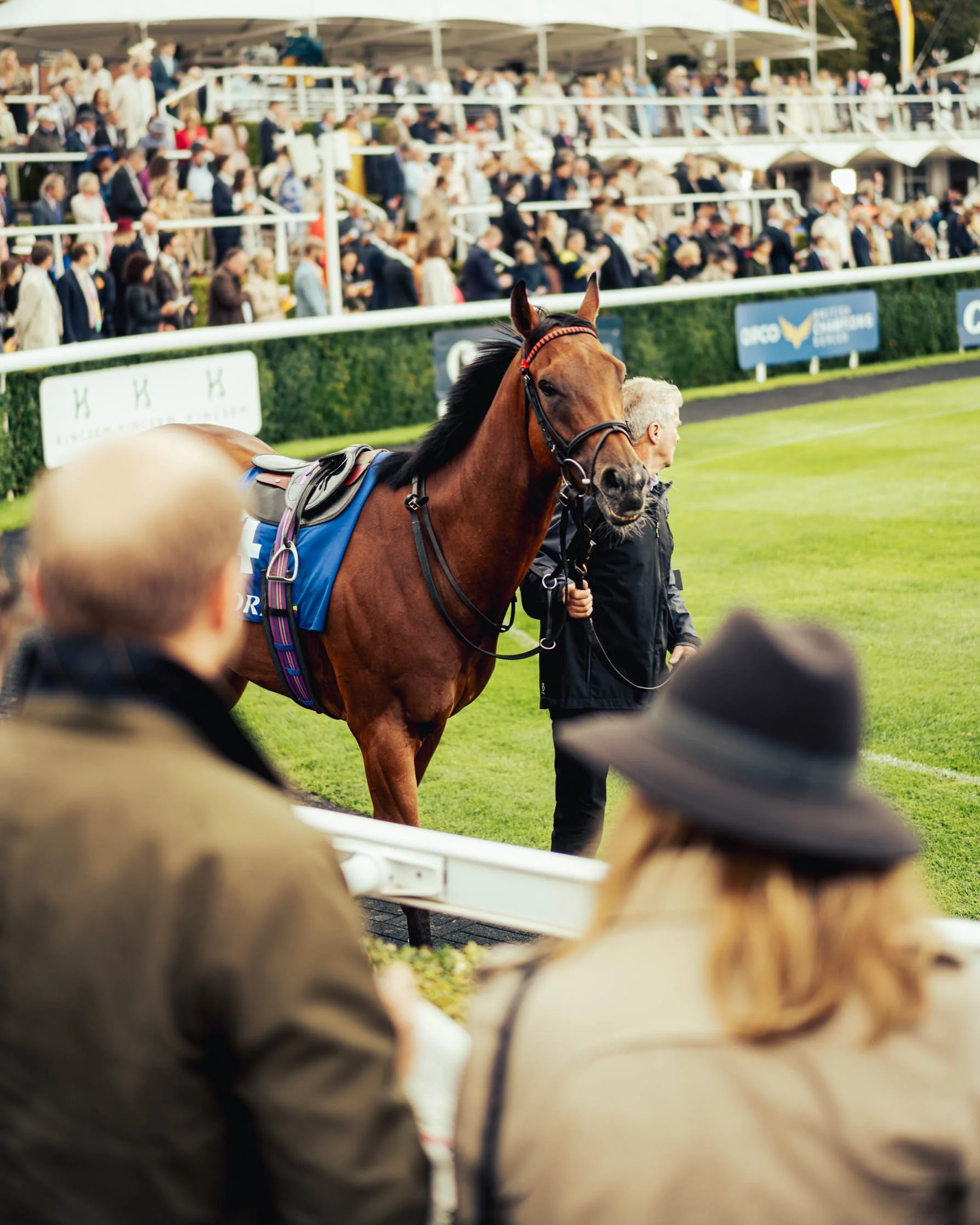  Crowd observing a racehorse in the parade ring at the 2023 Qatar Goodwood races, taking place at the Goodwood Racecourse Chichester, West Sussex. 
