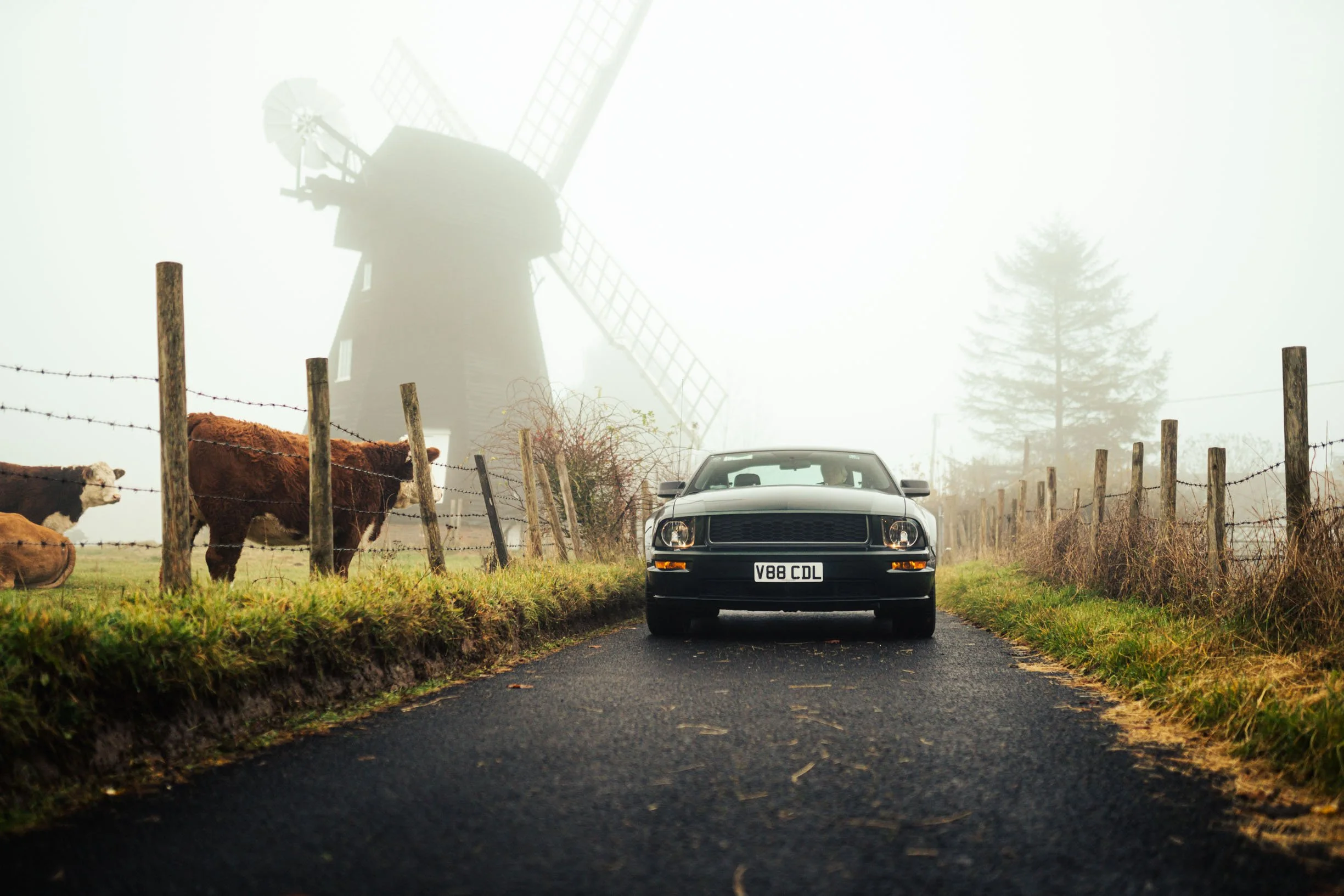  A Ford Mustang Bullitt S197 photographed at Lacey Green Windmill, Buckinghamshire. 