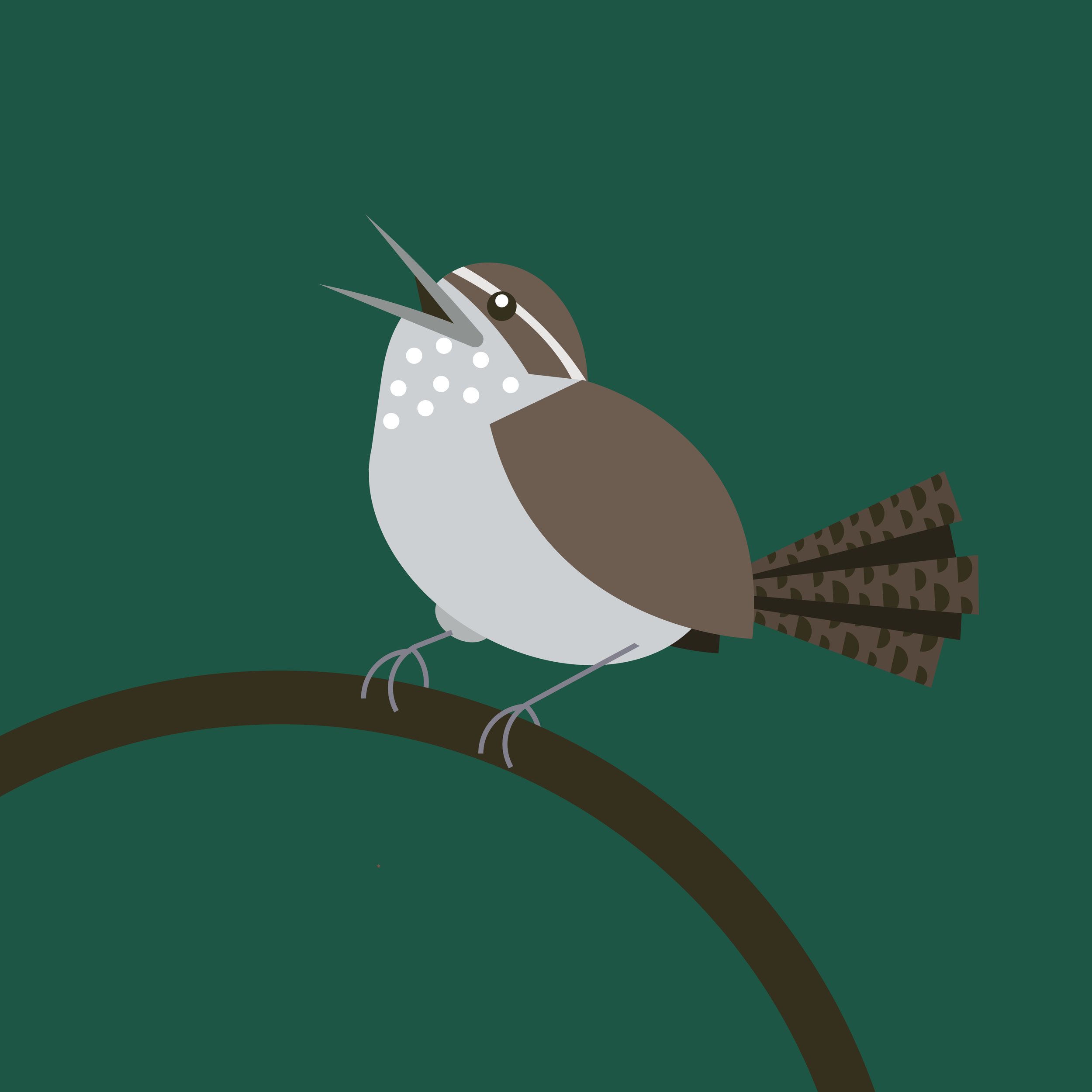 bewicks-wren.png