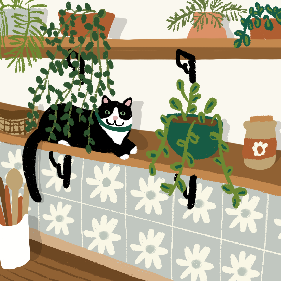 Untitled_Artwork 19.png
