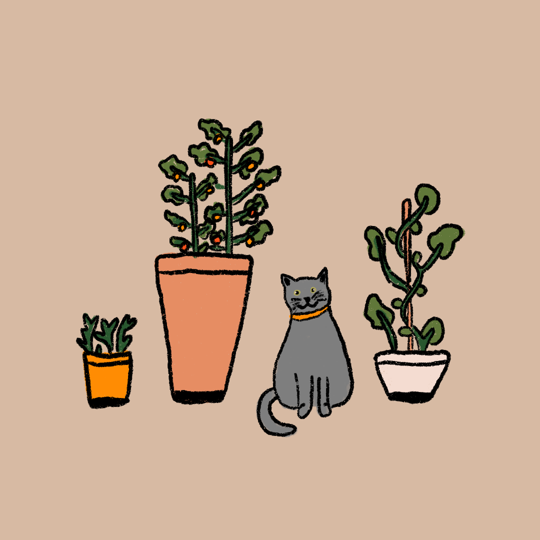 Untitled_Artwork 21.png