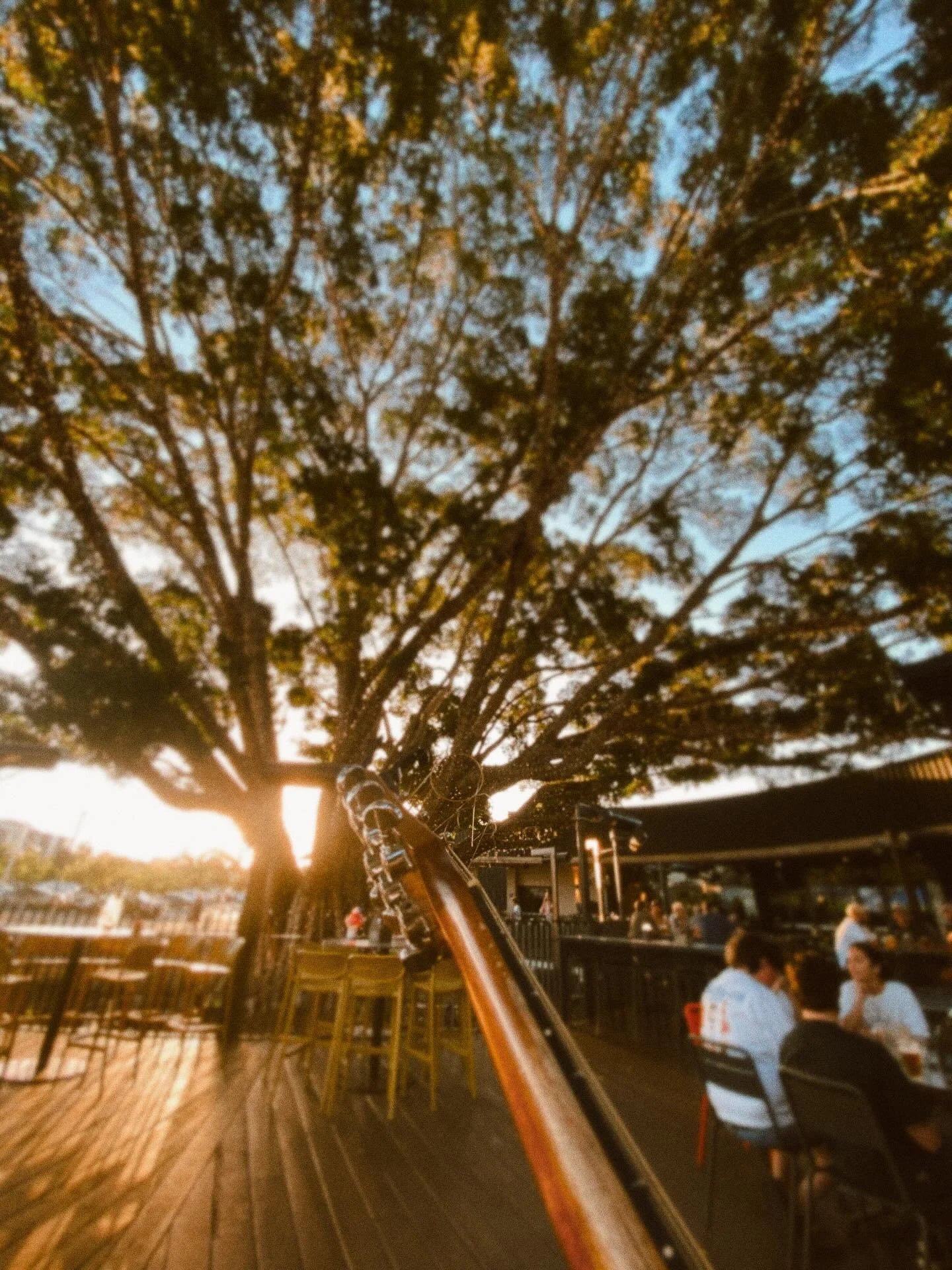 the @brookhotel goes good 🌳✨ 
nice way to end the week 🧡