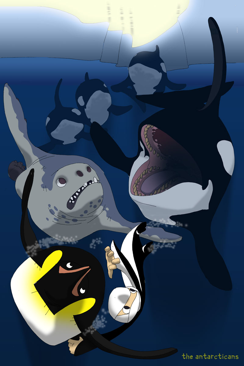 antarcticans-orca.jpg