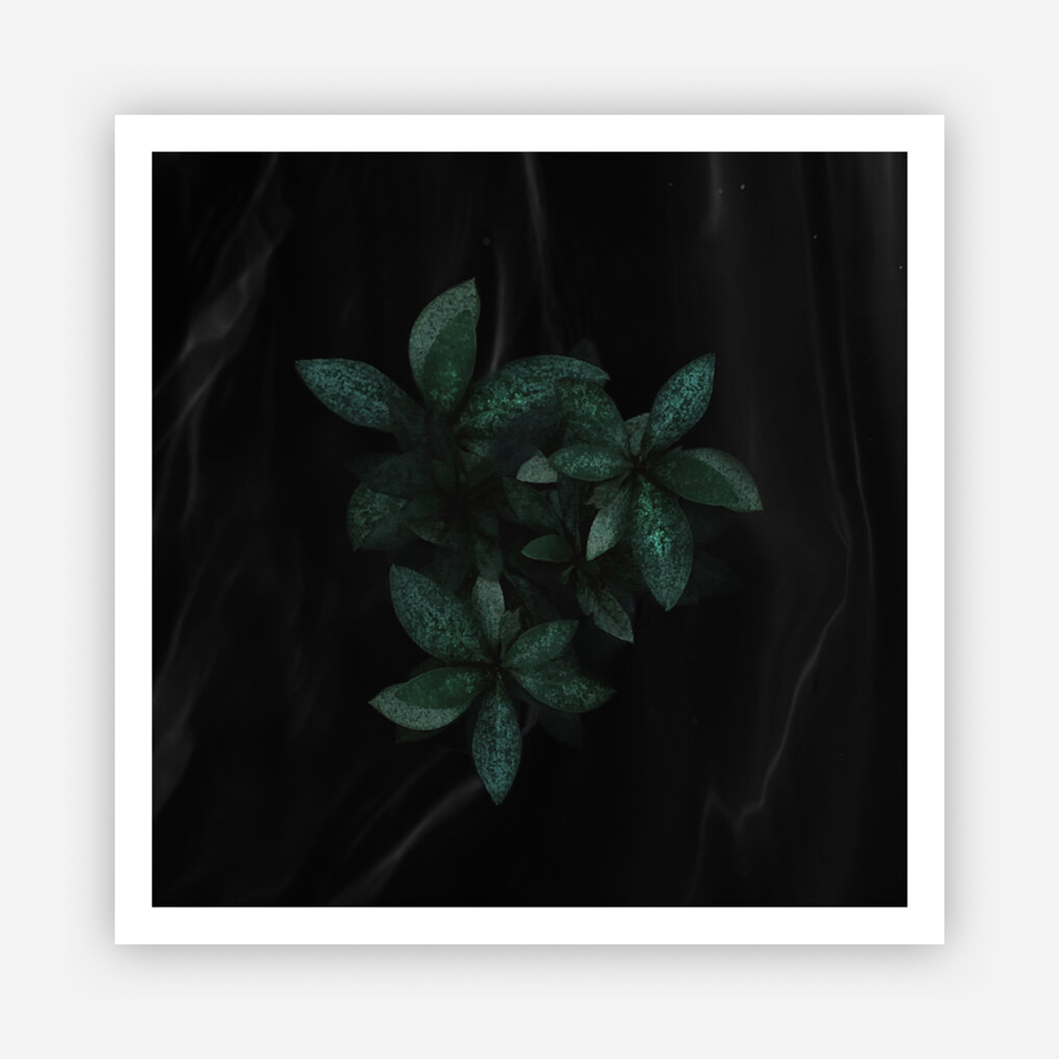 GITD__6.png