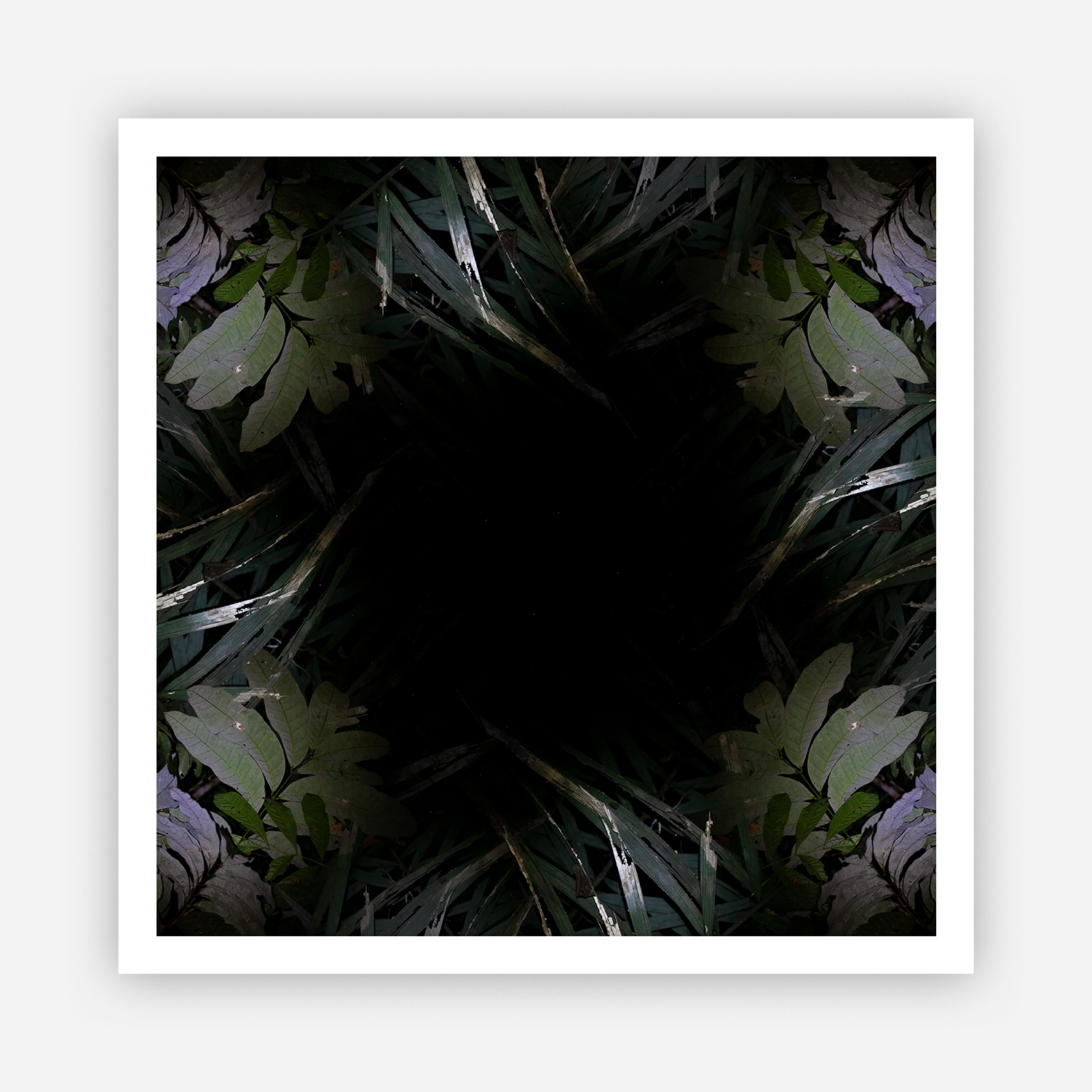 GITD__5.png