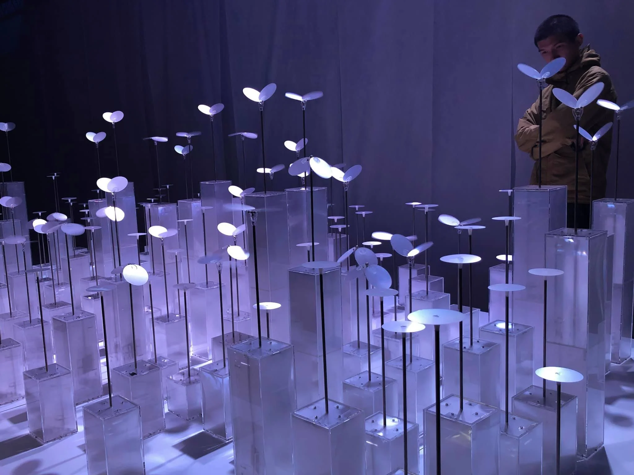 Golden Pin Design Award installation, 2018