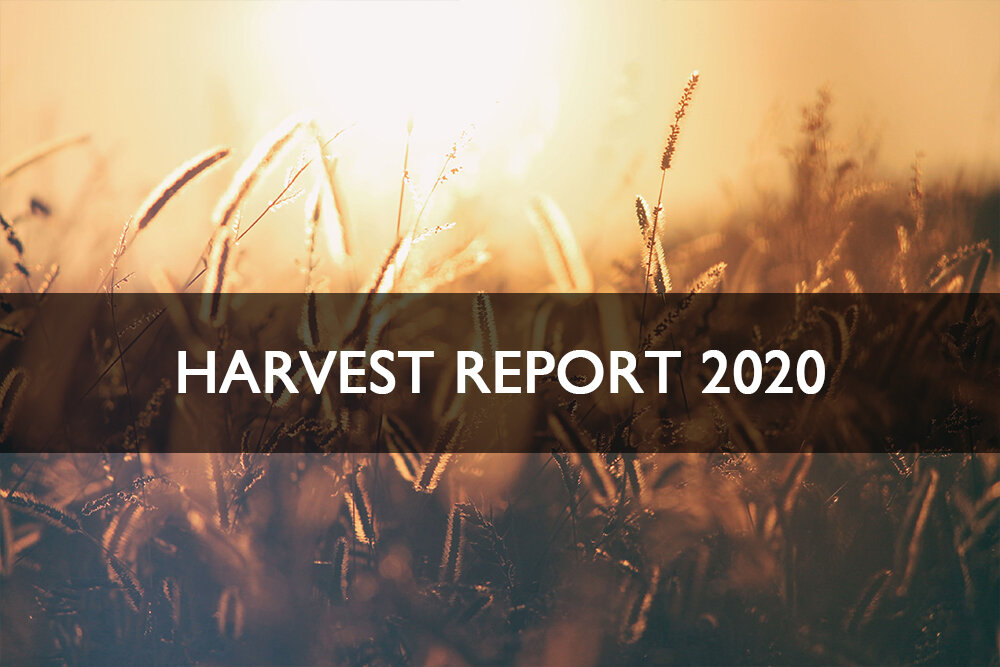 Harvest Report 2020