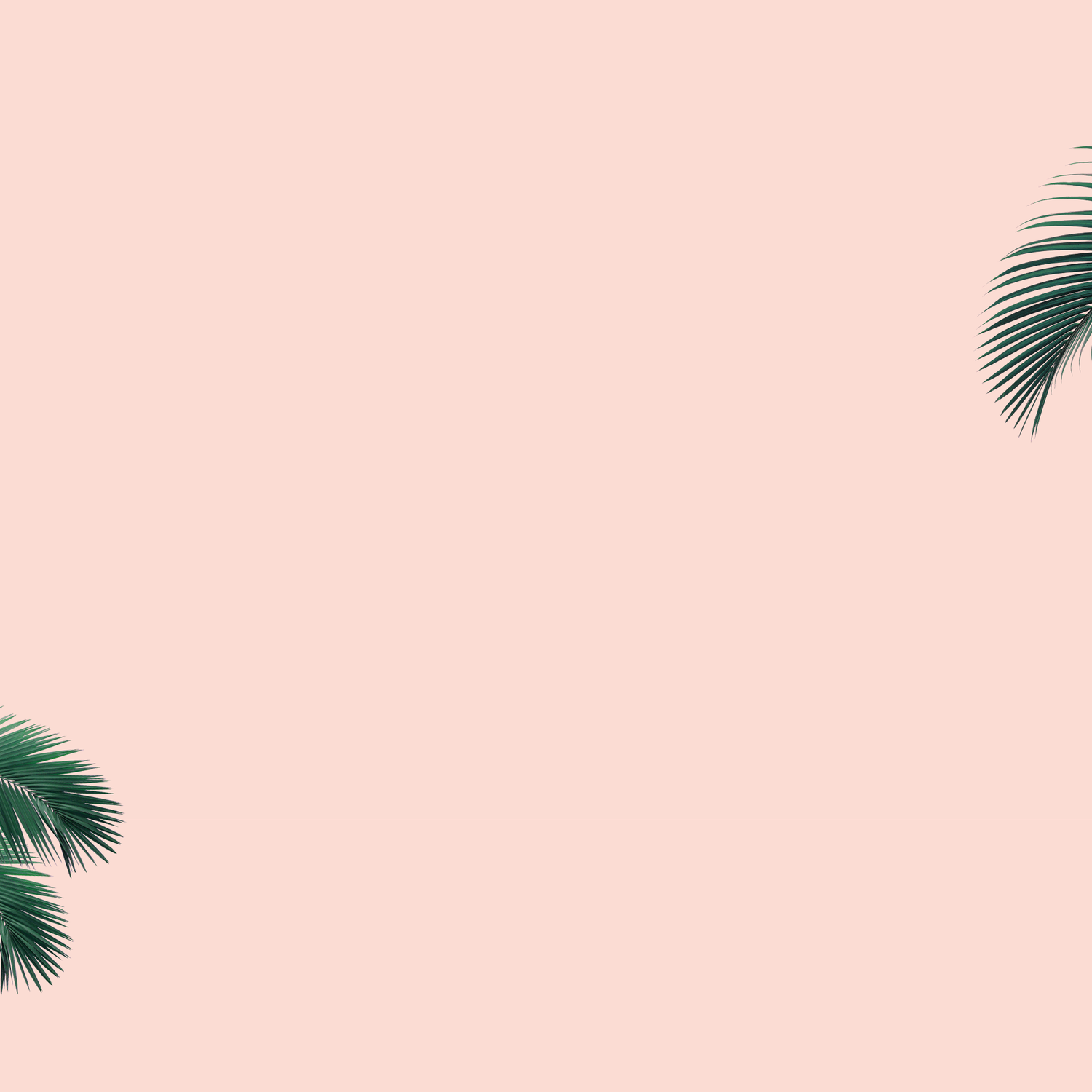 Home Landing Backup Laki Kane