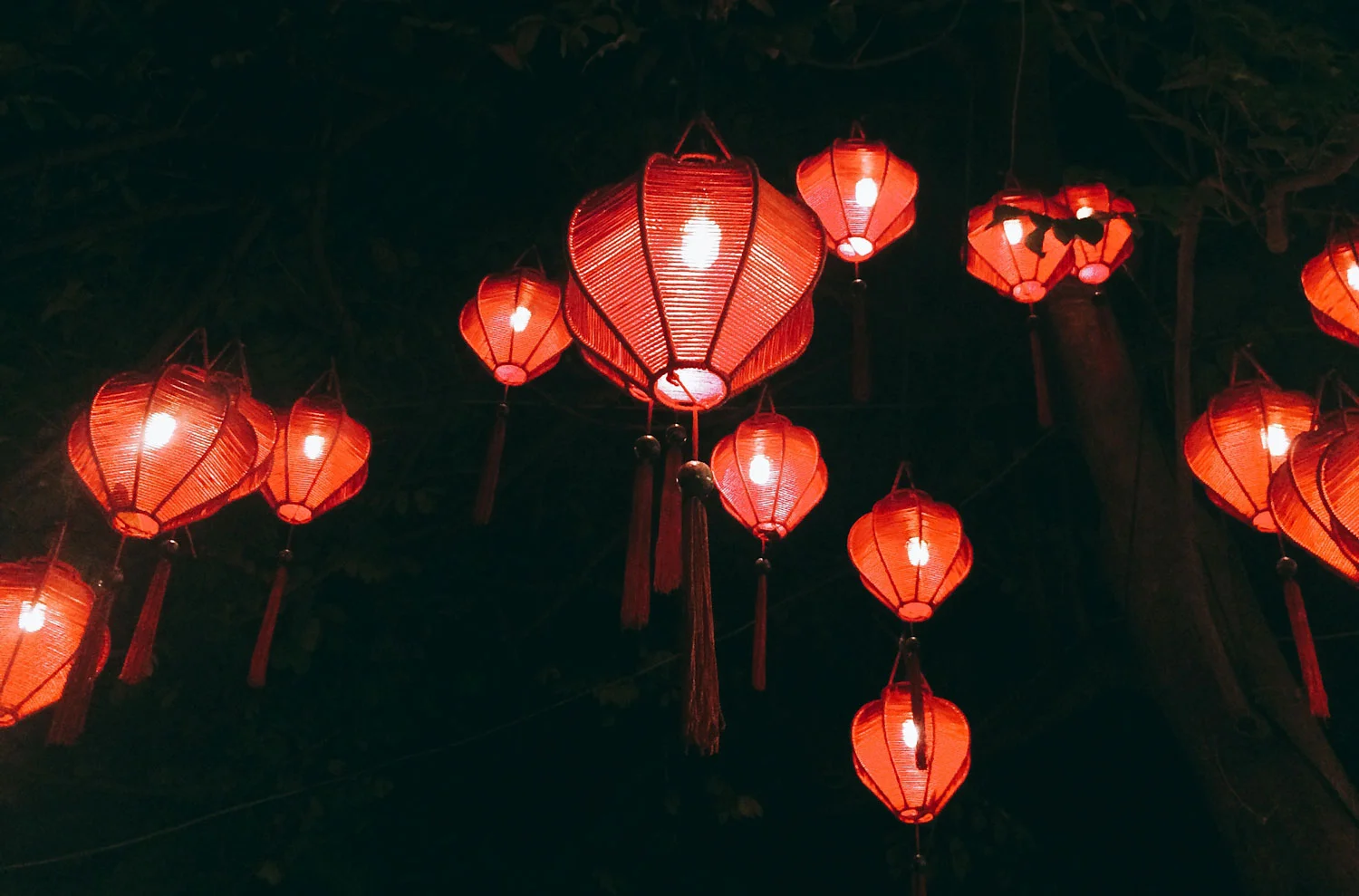 linh-dao-392188-unsplash.jpg