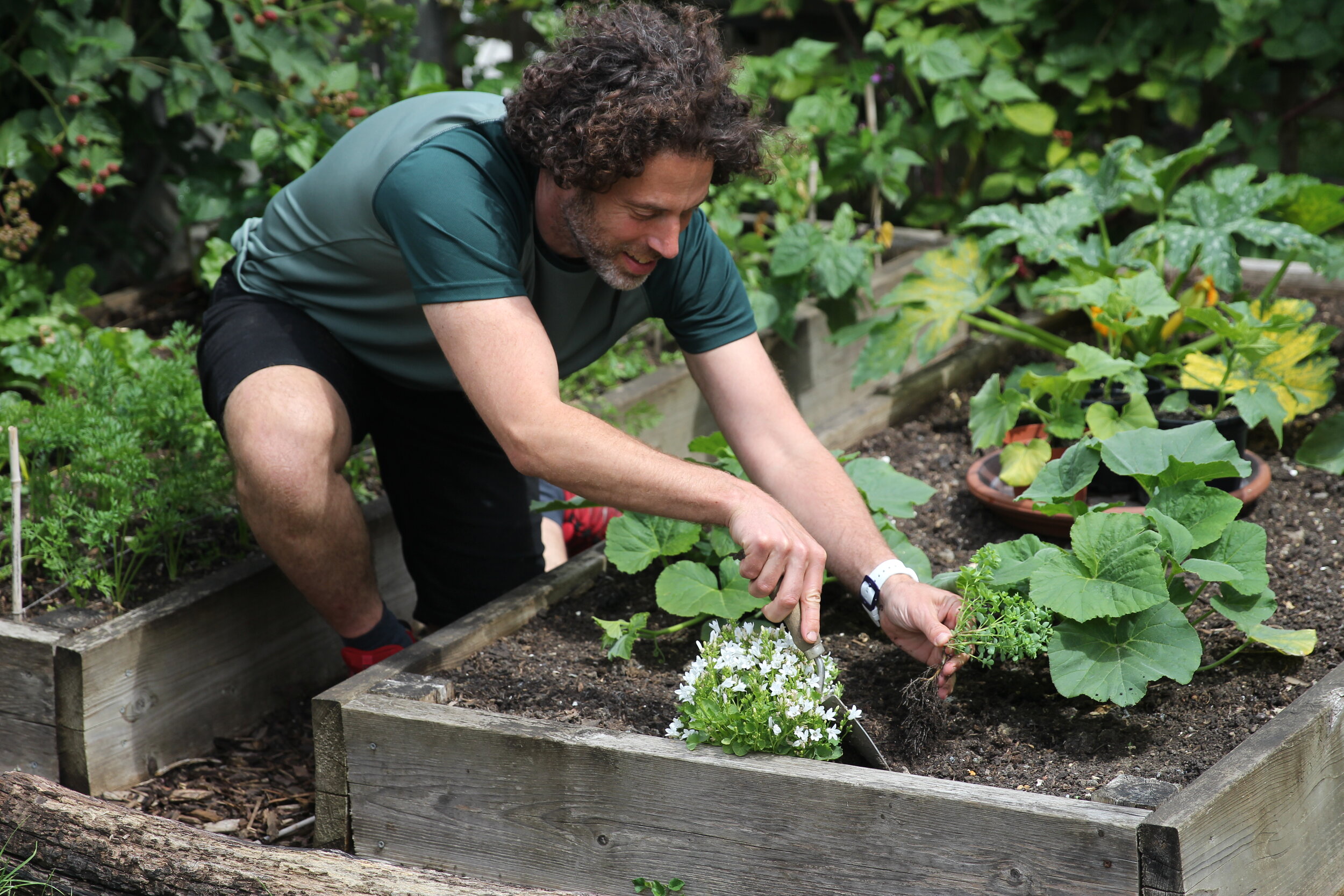 Musings on work, growing fruit and vegetables, stress, success and gratitude in - business, home, self, and the garden in uncertain times.