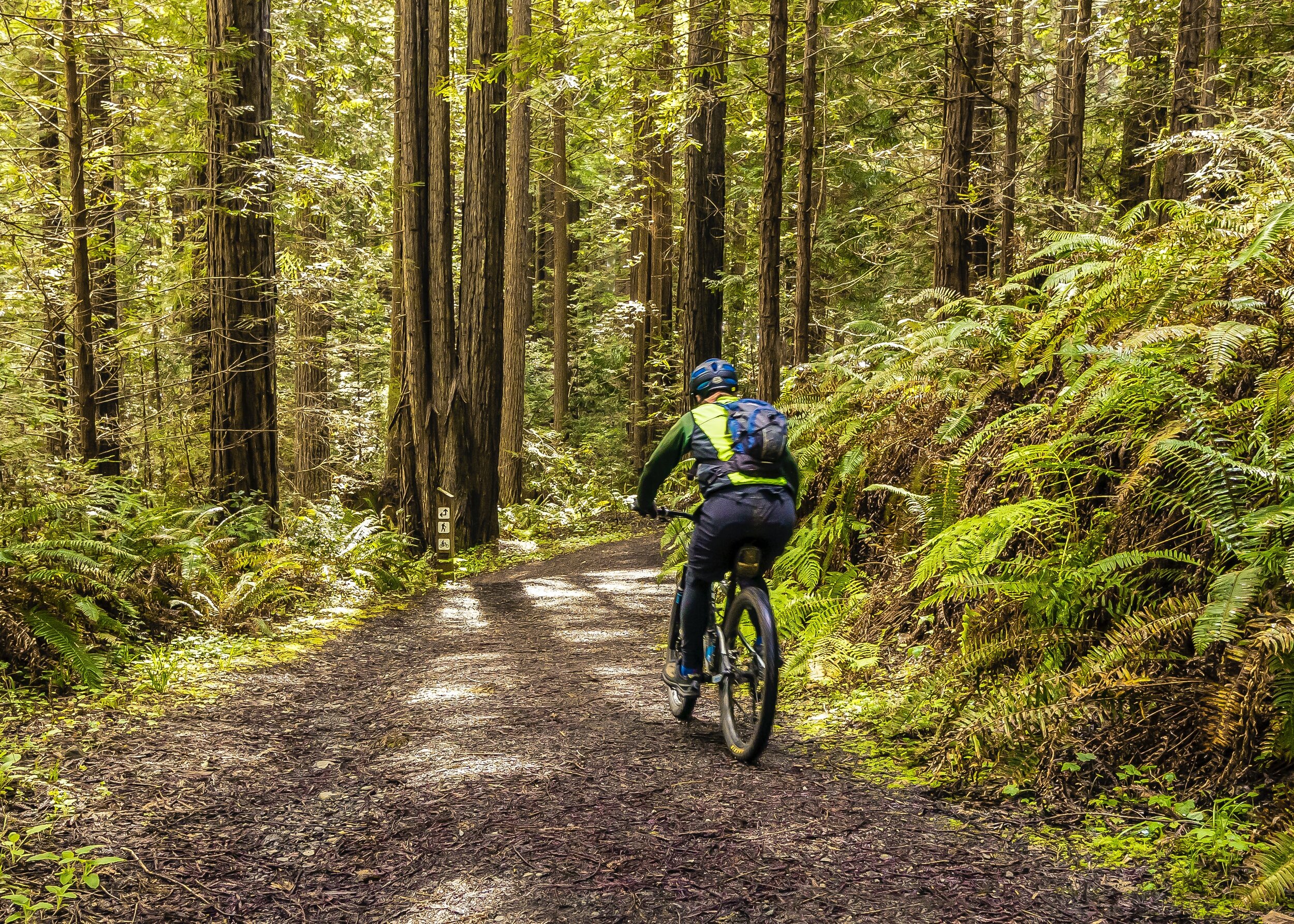 What truly matters? Integrating our core values into work and life