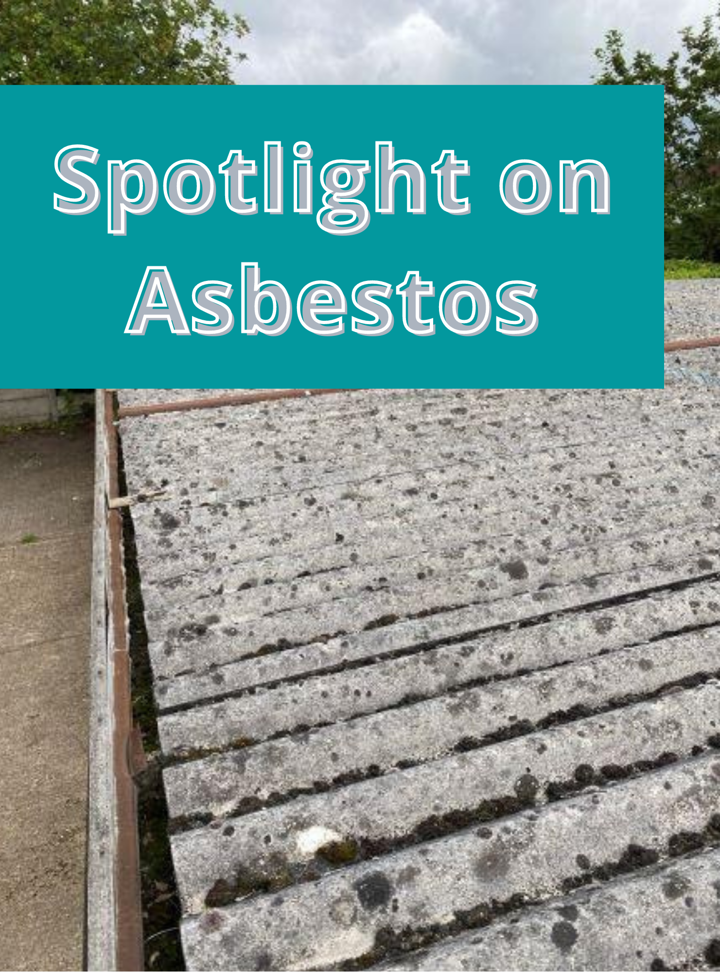 Spotlight on Asbestos