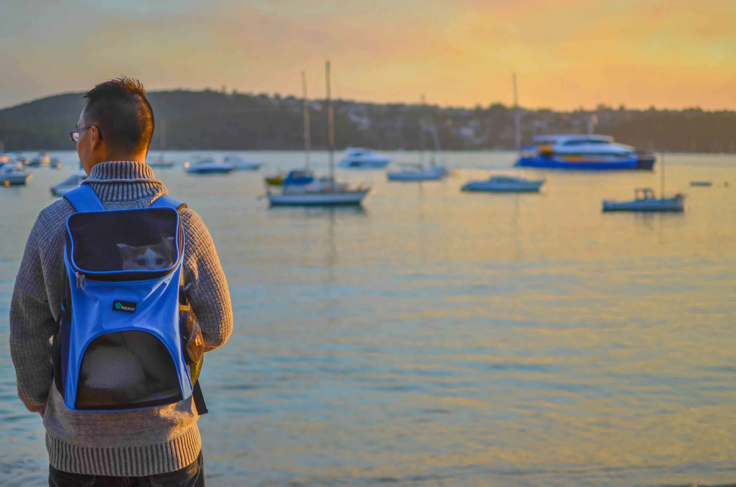 cat+in+a+backpack.jpeg