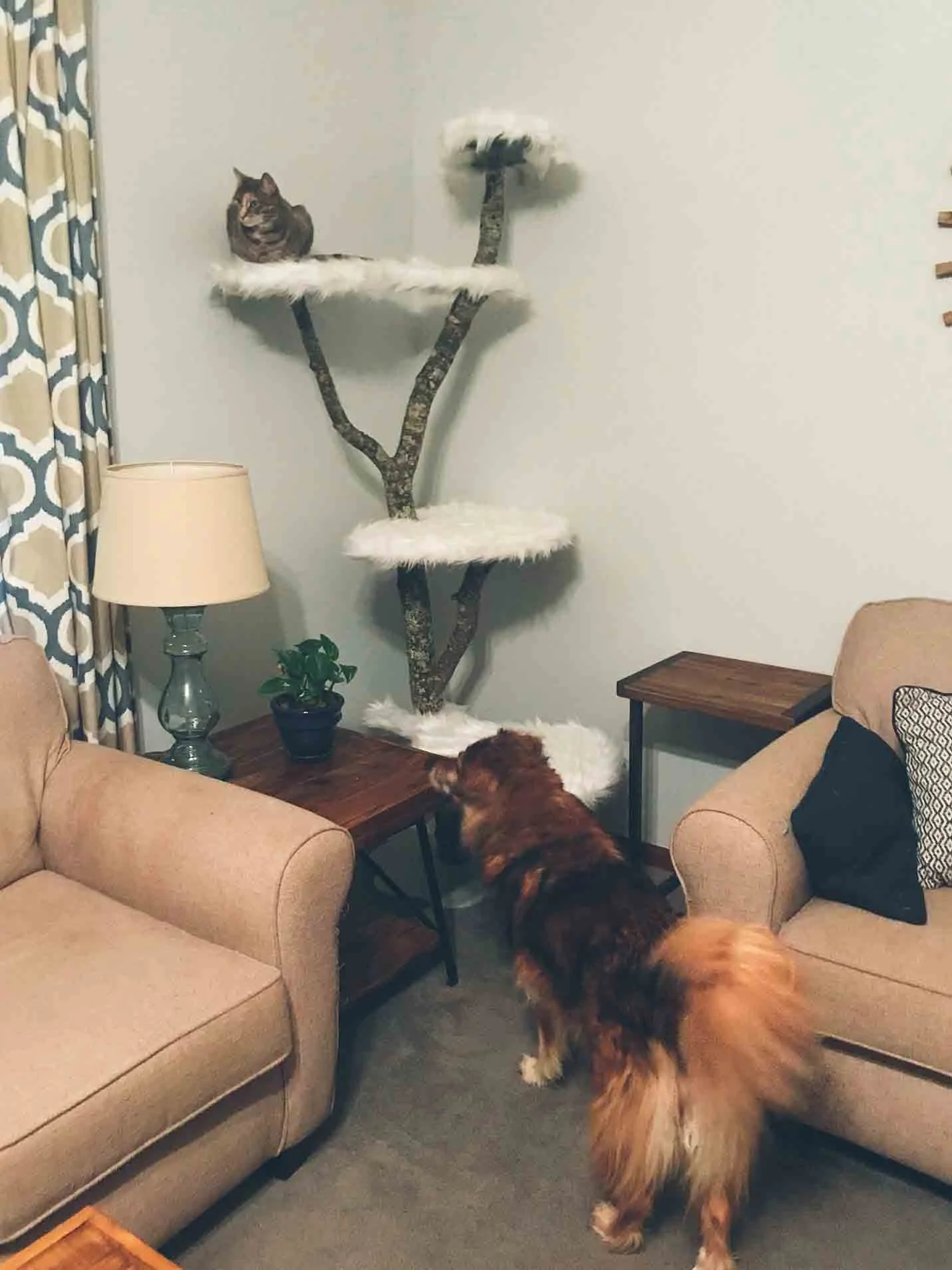 Emmy (and Muppet) with a Dr Suess Inspired Cat Tree.jpg