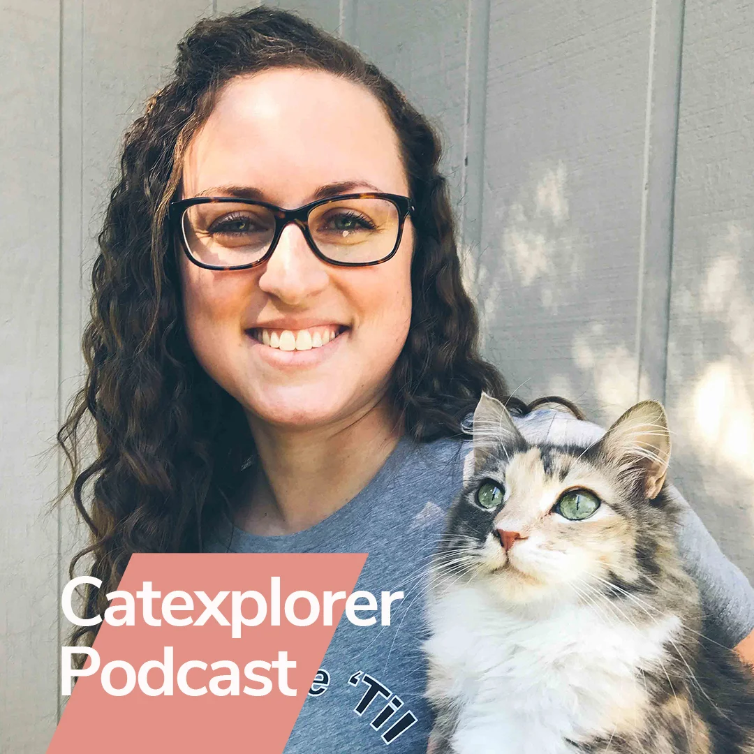 Kitty Cat Chronicles on Catexplorer Podcast.jpg