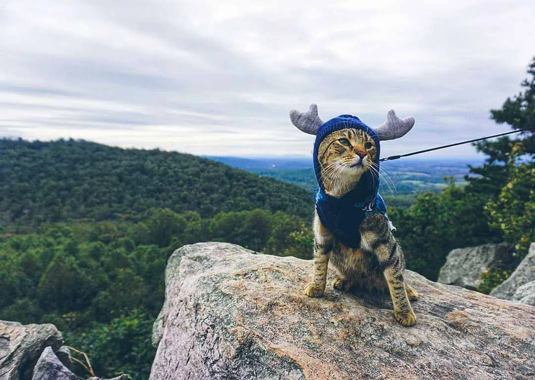 Instagram: @jack_hikes_