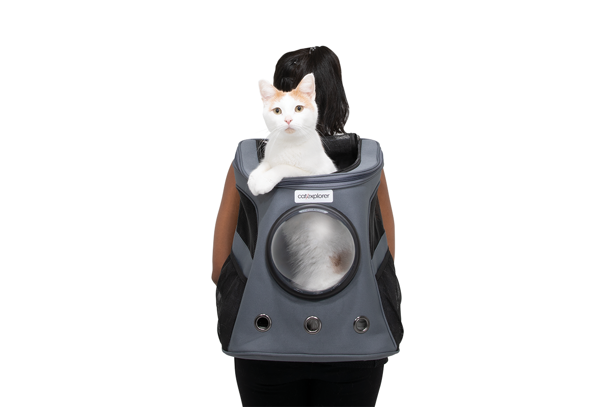 Catexplorer_1_May_19_0290 1200px.png