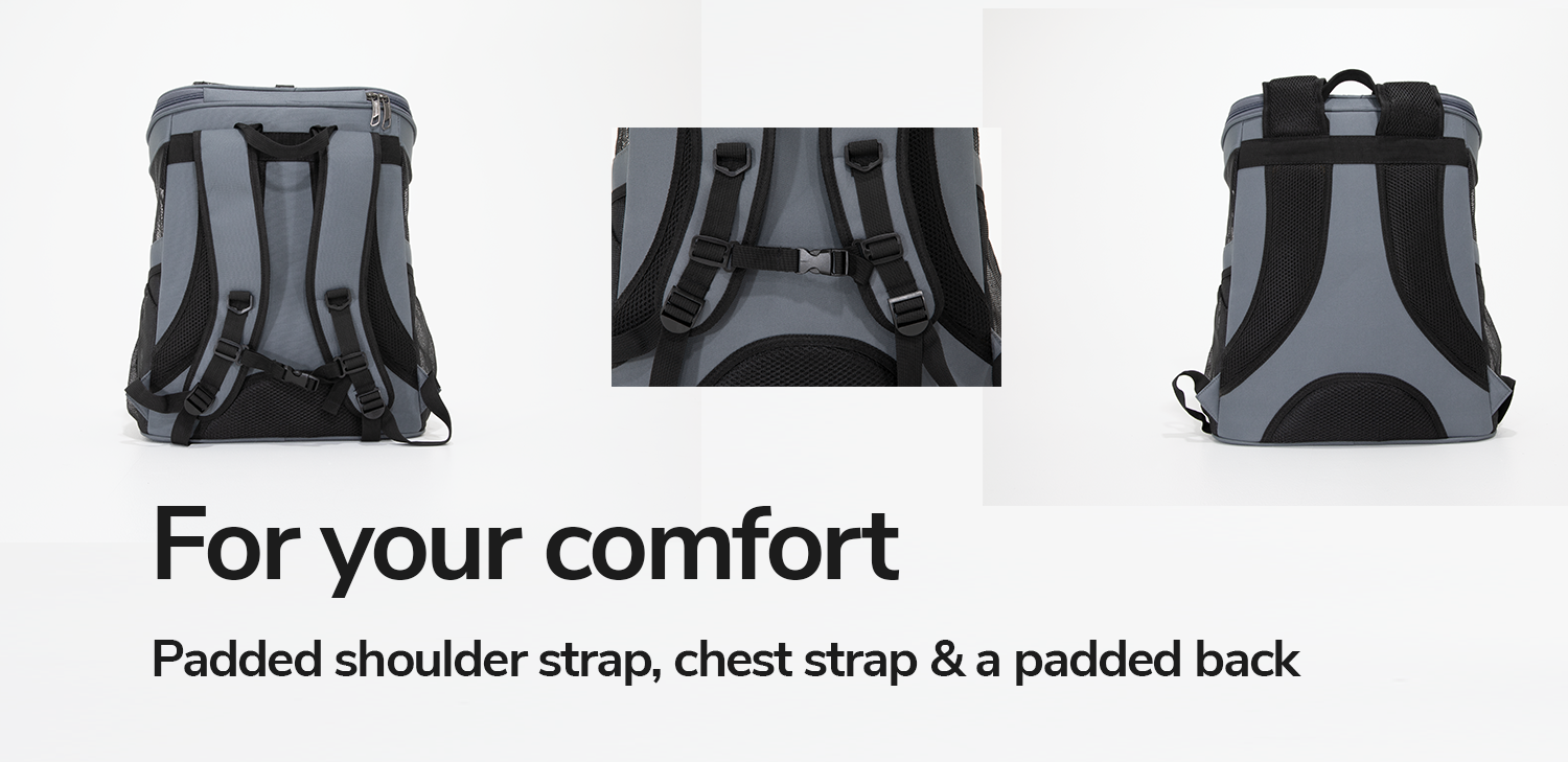 cat-backpack-comfortable-for-humans.png