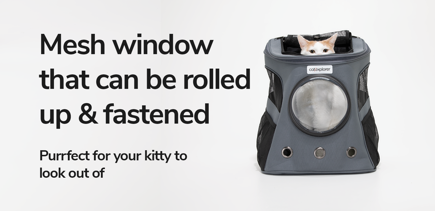 mesh-window-at-top.png