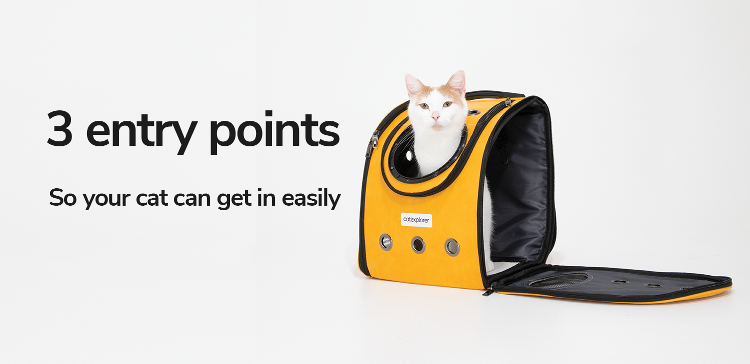 3-entry-points-so-your-cat-can-get-on-easily.png