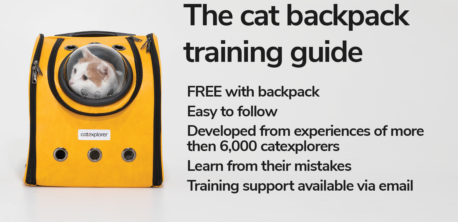 how-to-use-cat-backpack.png