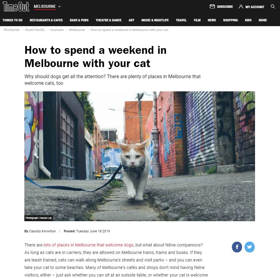 Timeout Melbourne: How to spend a weekend in Melbourne with your cat