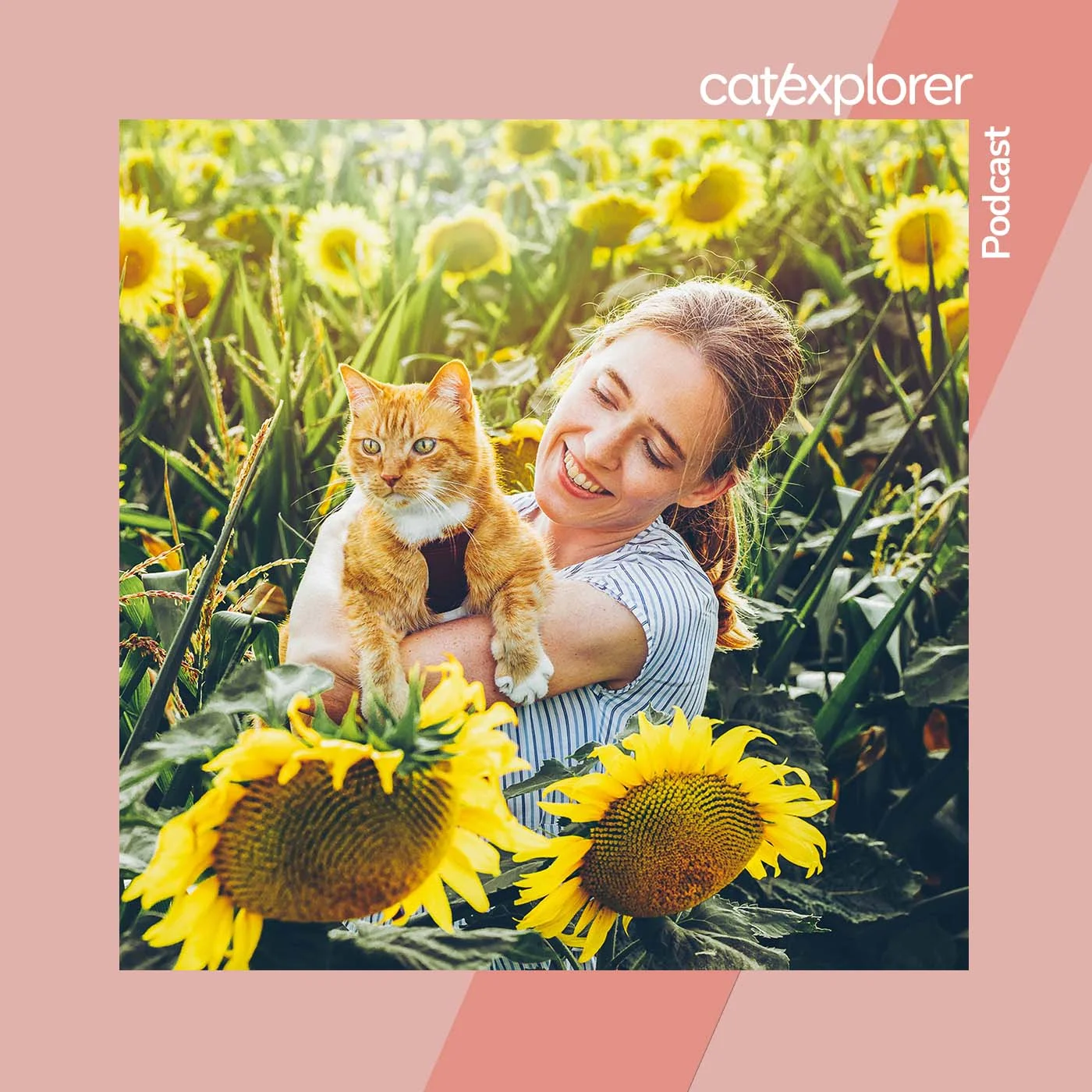 How to leave a review for the Catexplorer Podcast