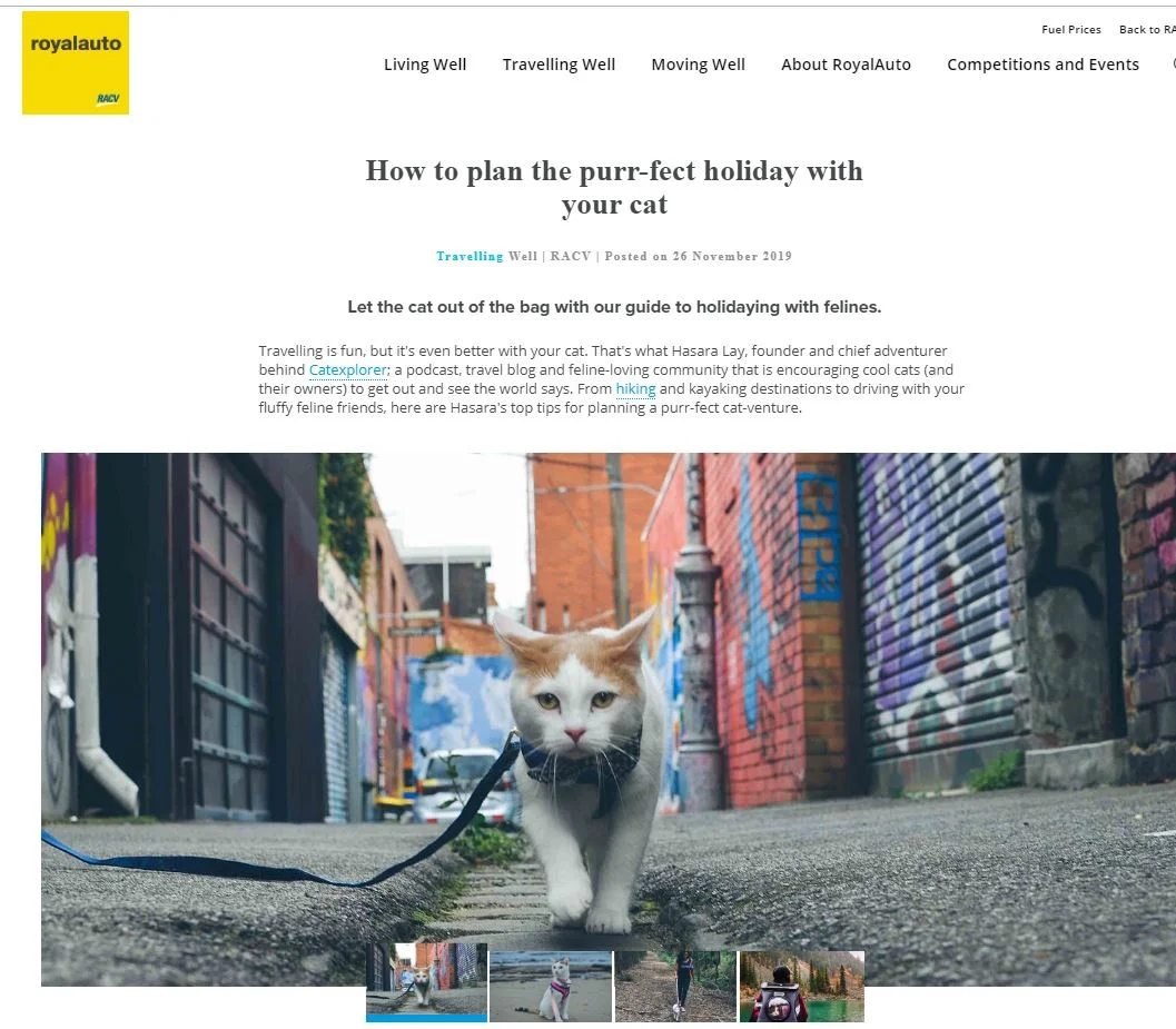 Royal Auto RACV - How to plan the purr-fect holiday with your cat