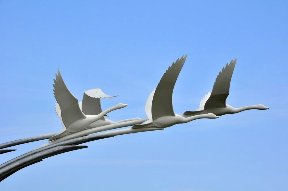 The Legend of The Children of Lir