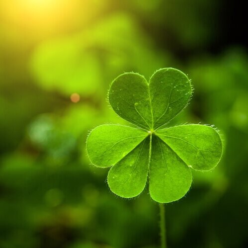 Symbols of Ireland