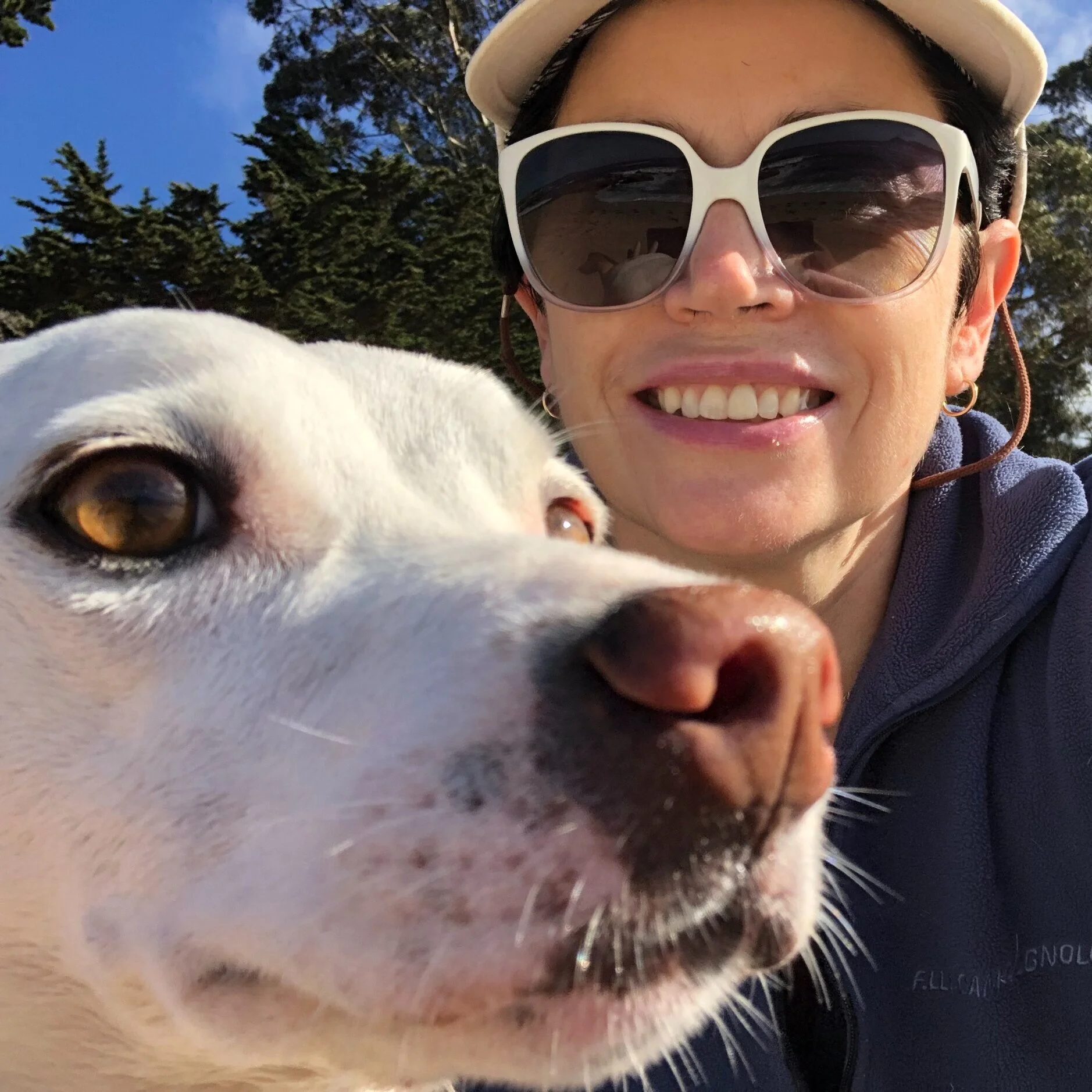 Reflections of a Dog Mom