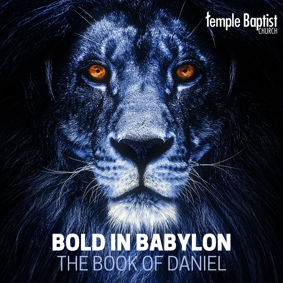 Bold in Babylon