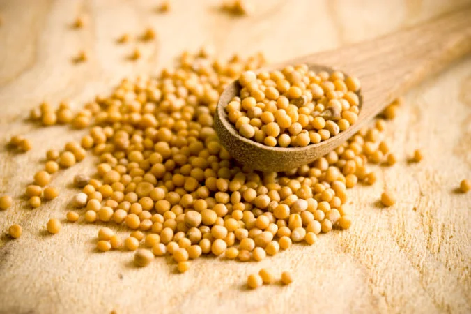 Mustard Seed