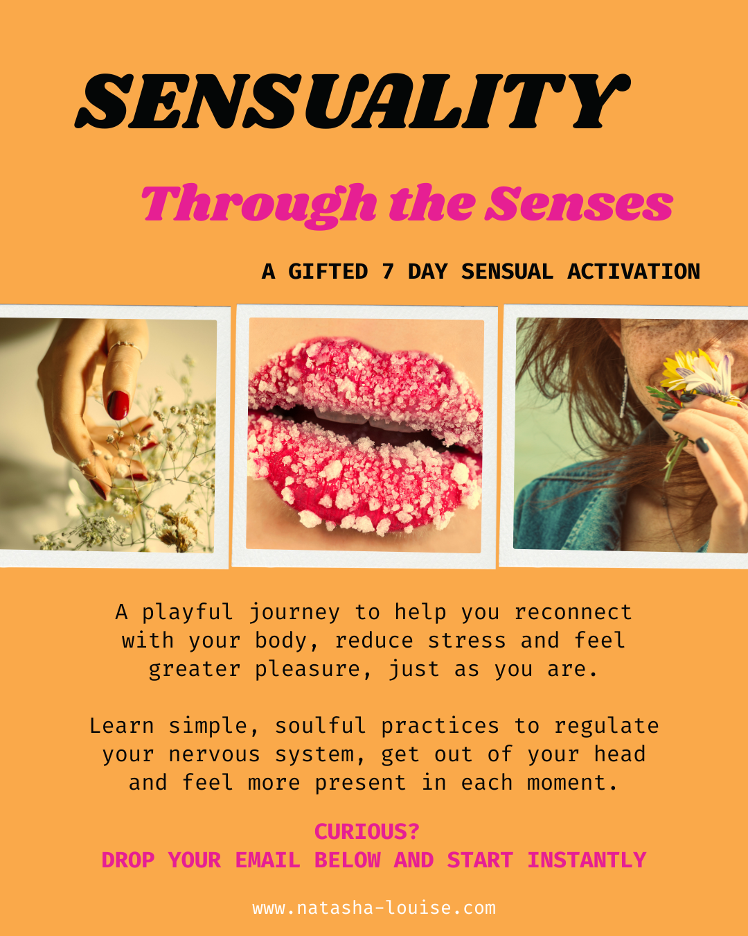 STS Website Freebie.png