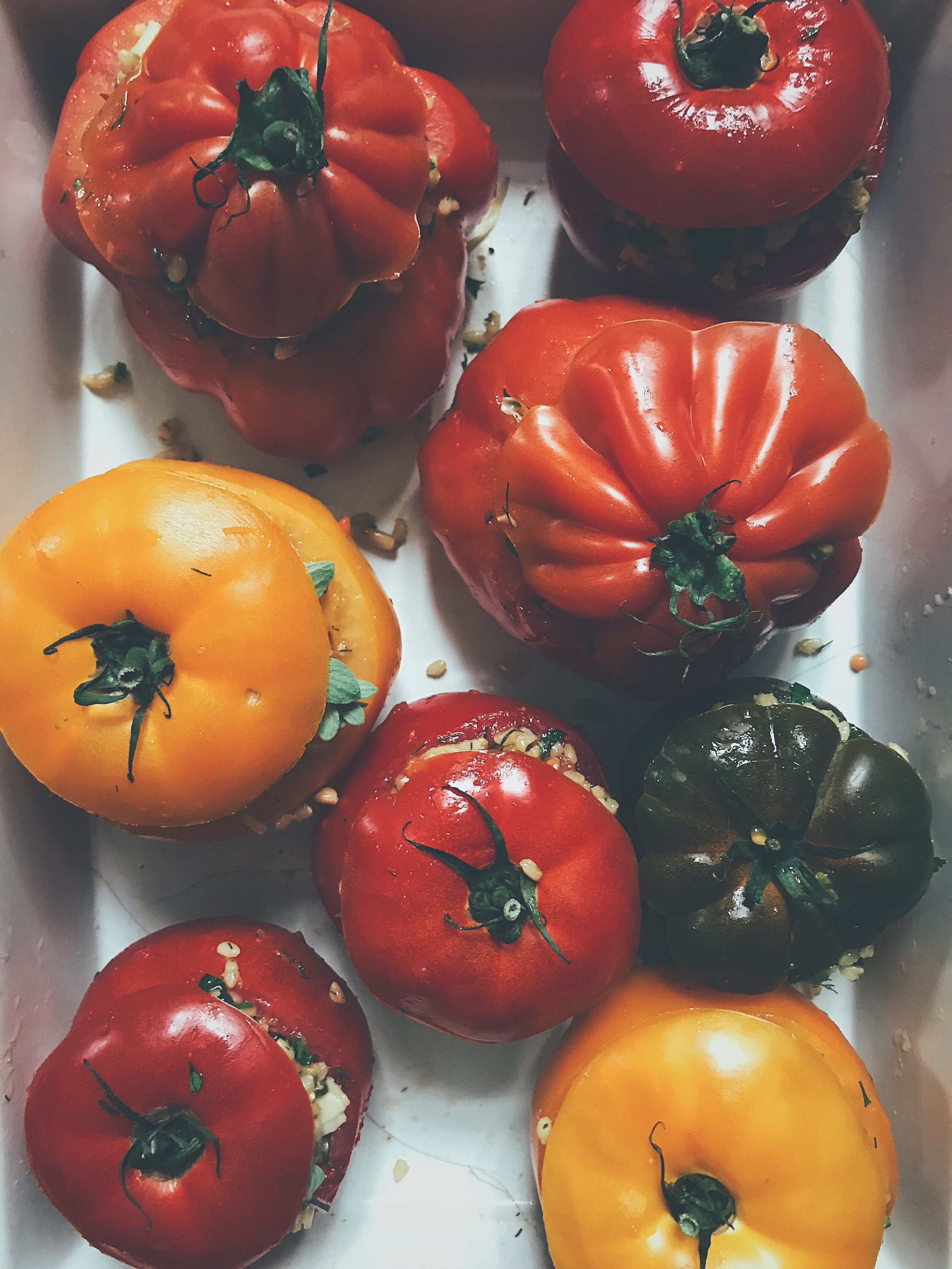 tomatoes 5.JPG