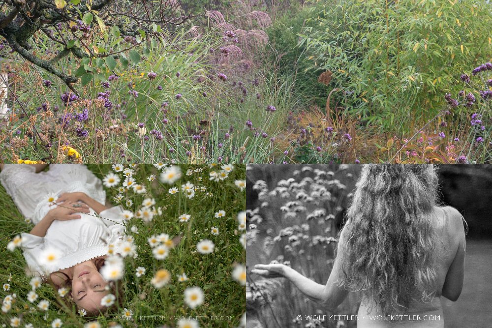 Commission me to photograph you or your garden