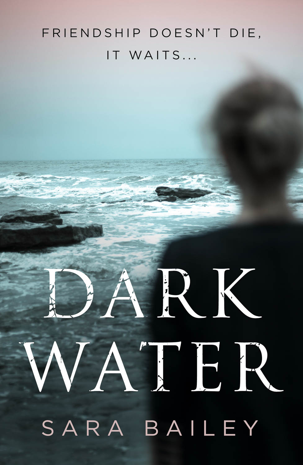 Bailey, Dark Water Book Cover Photograph by Wolf Kettler